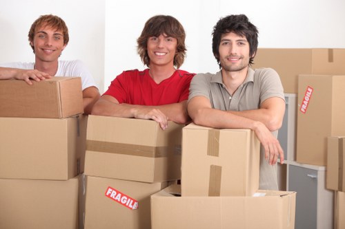 Removal truck hire suitable for flats and family homes in Anerley