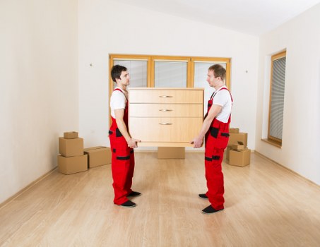 Household appliance and furniture moving support
